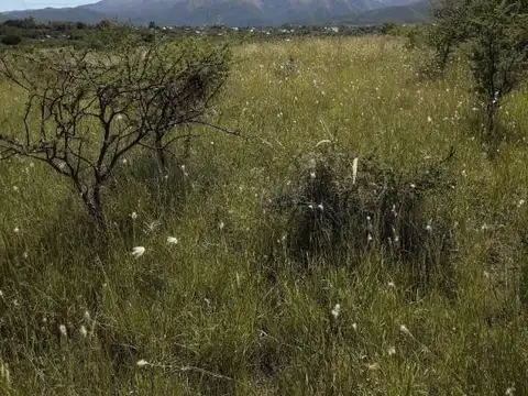 Terreno en Venta en Capilla del Monte, Punilla