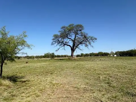 Terreno en Venta en Sinsacate, Totoral