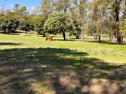 Terreno en Venta en Villa General Belgrano, Calamuchita