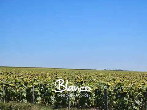 Campo en Venta en Villa Huidobro, General Roca