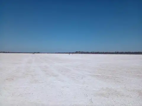 Campo en Venta en Cruz del Eje, Córdoba