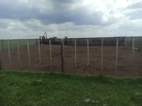 Campo en Venta en Laboulaye, Presidente Roque Sáenz Peña