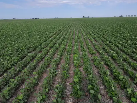 Campo en Venta en Los Jagueles, Río Cuarto