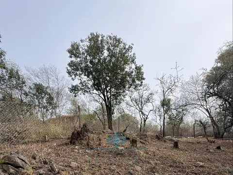 Campo en Venta en La Granja, Colón