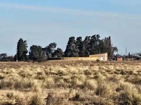 Campo en Venta en Rio Cuarto, Río Cuarto