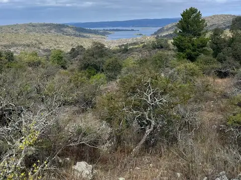 Campo en Venta en Santa Rosa de Calamuchita, Calamuchita