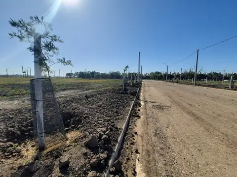 Campo en Venta en Jesus Maria, Colón