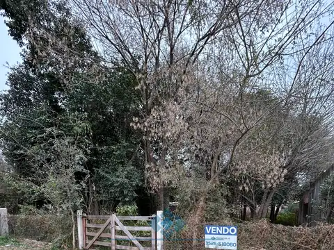 Campo en Venta en La Granja, Colón