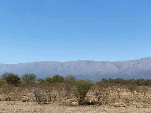 Campo en Venta en La Paz, San Javier