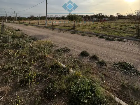 Campo en Venta en Sinsacate, Totoral