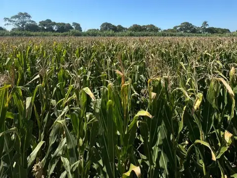 Campo en Venta en Camino A 60 Cuadras, Cordoba