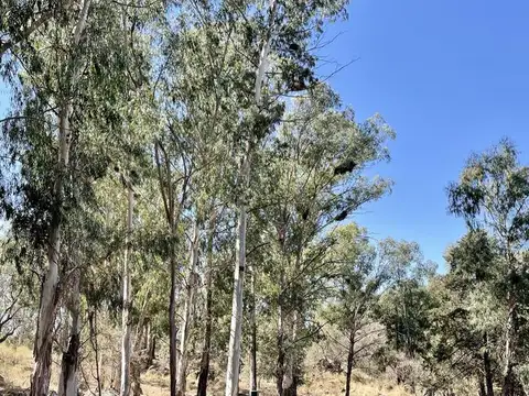 Campo en Venta en Villa del Dique, Calamuchita