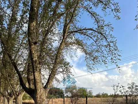 Campo en Venta en Colonia Caroya, Colón