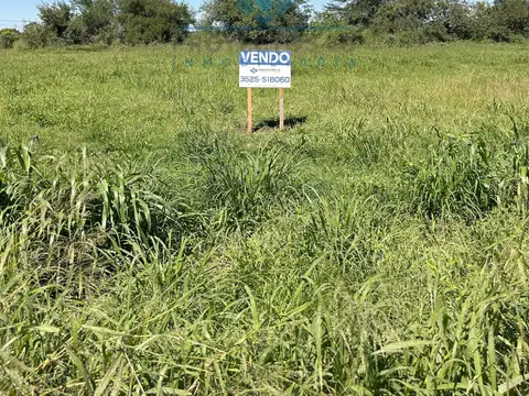 Campo en Venta en Sinsacate, Totoral