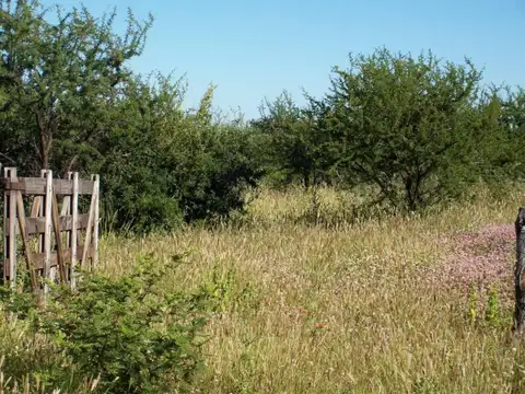 Campo en Venta en Charbonier, Punilla
