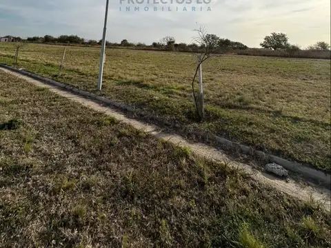 Campo en Venta en Sinsacate, Totoral