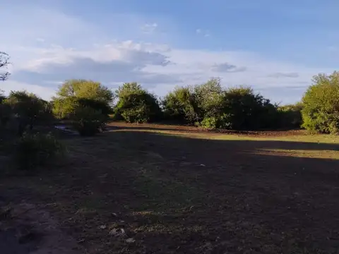Campo en Venta en Ciénaga de Allende, San Alberto
