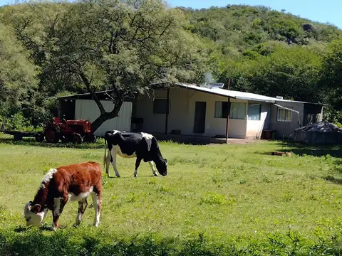 Campo en Venta en San Pedro Norte, Tulumba