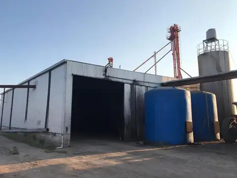 Campo en Venta en Balnearia, San Justo