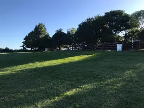Campo en Venta en Los Molinos, Calamuchita