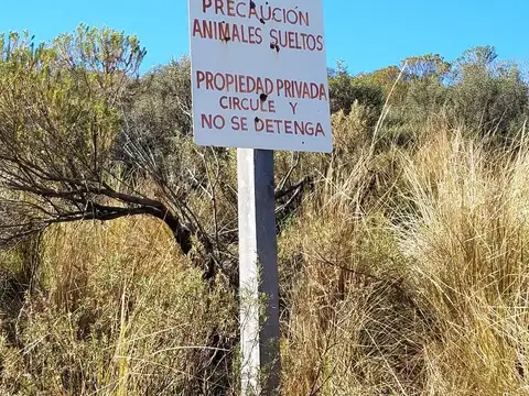 Campo en Venta en Mina Clavero, San Alberto