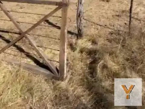 Campo en Venta en Agua de Oro, Colón