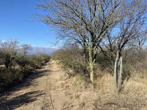 Campo en Venta en Luyaba, San Javier