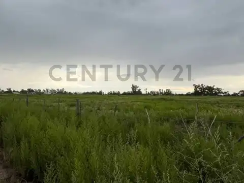 Campo en Venta en Villa María, General San Martín