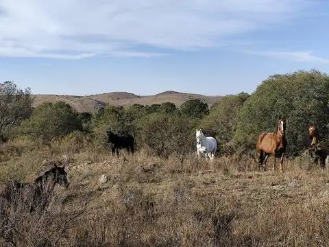 Campo en Venta en San Clemente, Santa María