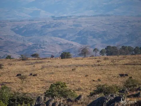 Campo en Venta en Atos Pampa, Calamuchita