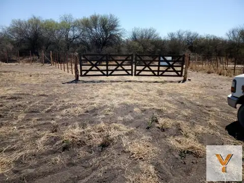 Campo en Venta en Balde de la Mora, San Alberto