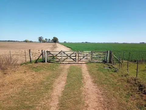 Campo en Venta en Corral de Bustos, Marcos Juárez