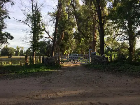 Campo en Venta en San Javier, Córdoba