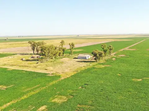 Campo en Venta en Leguizamon, Presidente Roque Sáenz Peña