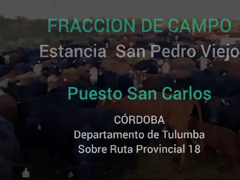 Campo en Venta en Tulumba, Córdoba