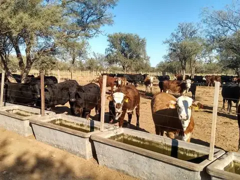 Campo en Venta en Lucio V Mansilla, Tulumba
