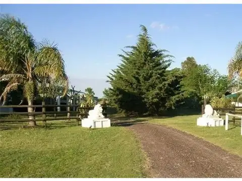 Hotel en Venta en Ramirez, Minas
