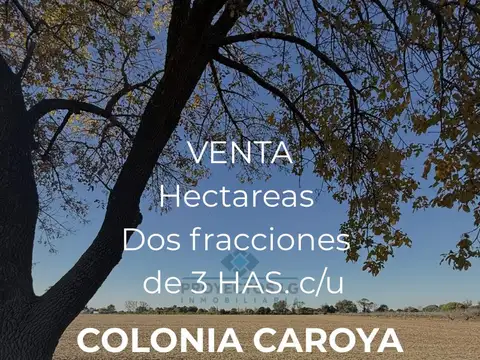 Quinta en Venta en Colonia Caroya, Colón