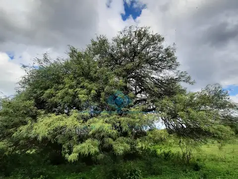 Quinta en Venta en La Granja, Colón