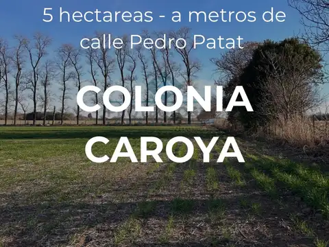 Quinta en Venta en Colonia Caroya, Colón