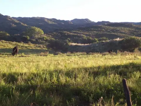 Campo en Venta en Capilla del Monte, Punilla