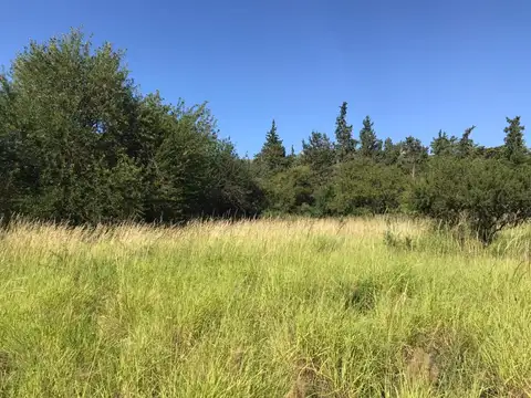 Campo en Venta en Santa Maria de Punilla, Punilla