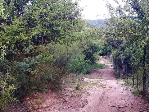 Terreno en Venta en San Marcos Sierra, Cruz del Eje