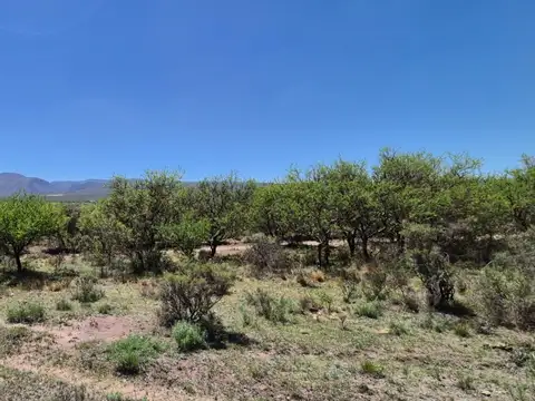 Terreno en Venta en La Cumbre, Punilla