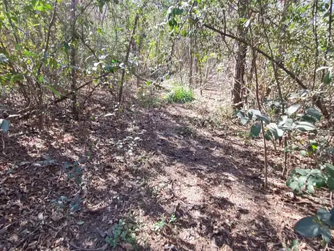 Terreno en Venta en La Pampa, Totoral