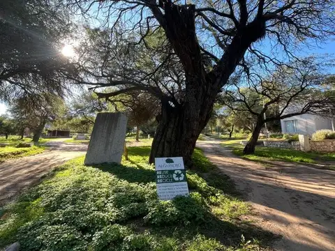 Terreno en Venta en Villa de Soto, Cruz del Eje