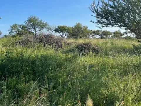 Terreno en Venta en San Lorenzo, San Alberto