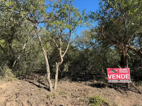 Terreno en Venta en Las Calles, San Alberto