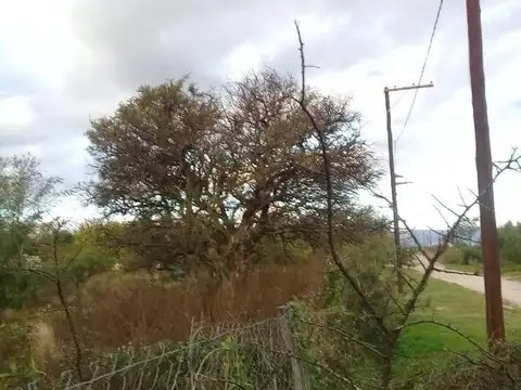 Terreno en Venta en Arroyo de los Patos, San Alberto