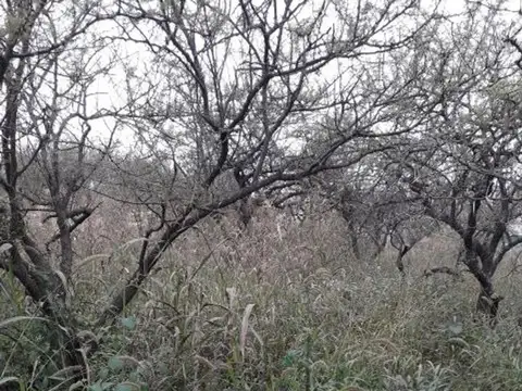 Terreno en Venta en Villa la Bolsa, Santa María